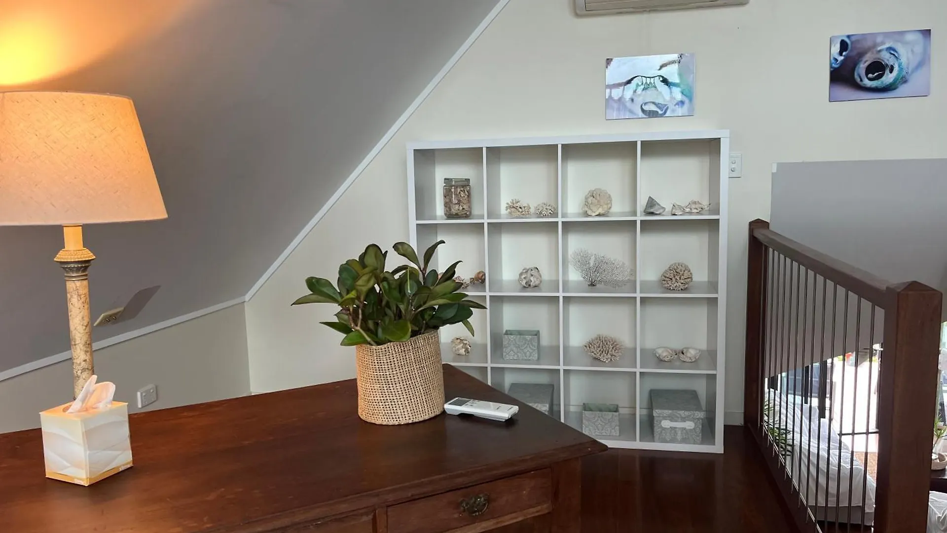 The Cowrie Shell, Hydeaway Bay Bed & Breakfast Hideaway Bay
