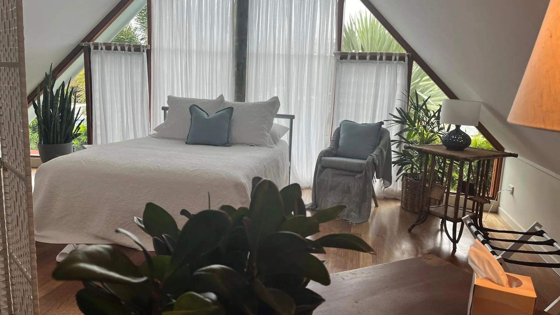 The Cowrie Shell, Hydeaway Bay Bed & Breakfast Hideaway Bay